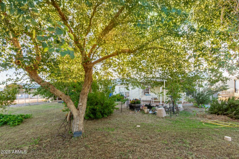 1 - John Jacob Astor 7378