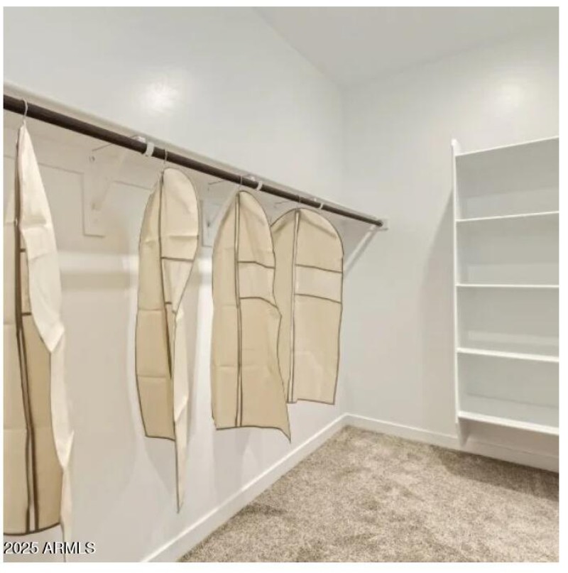Owner's Walk in Closet