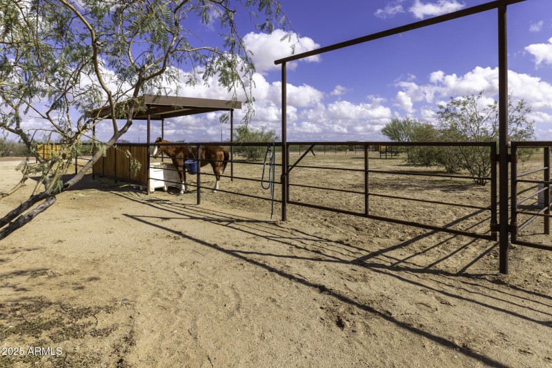 Extra Large Turn Outs