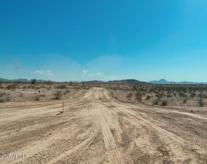 7841 S 343rd Dr pic2