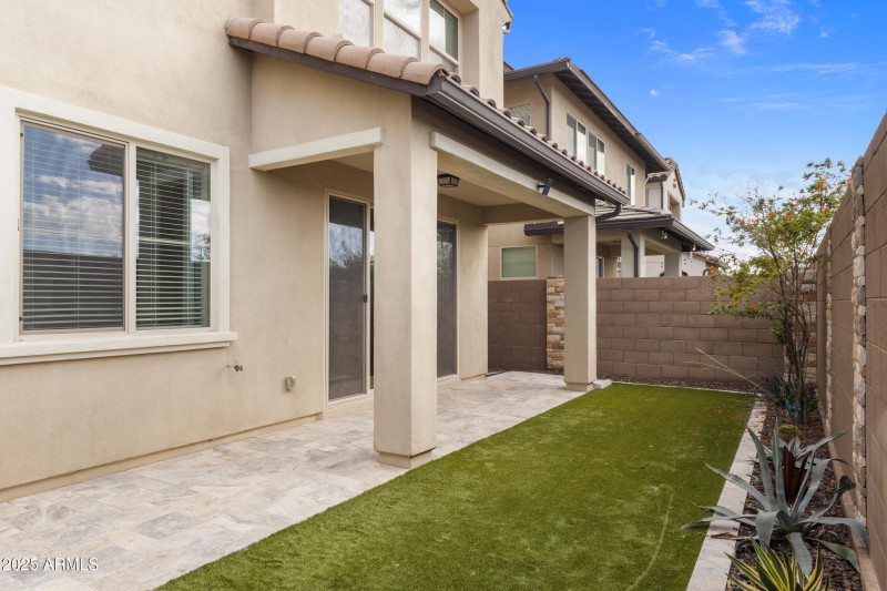 Backyard