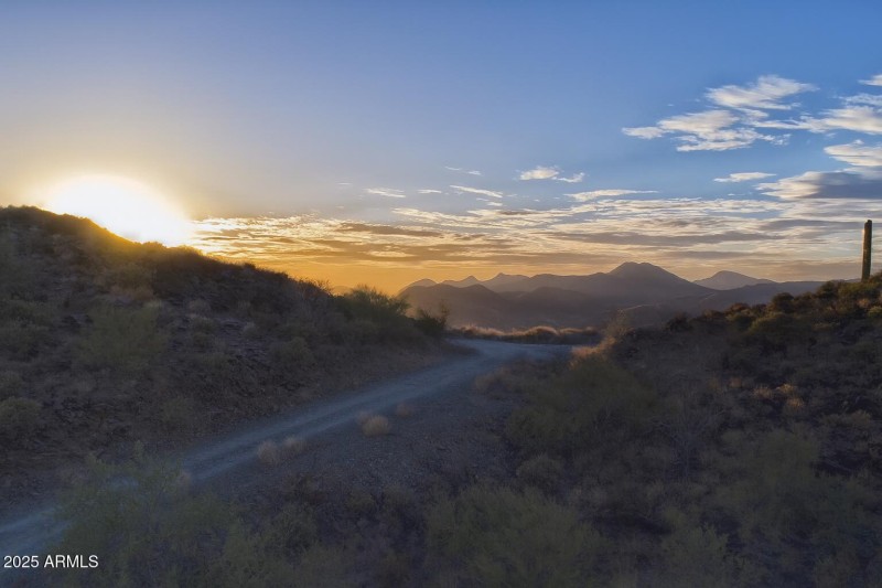 Desert Sunset with Majestic Cacti