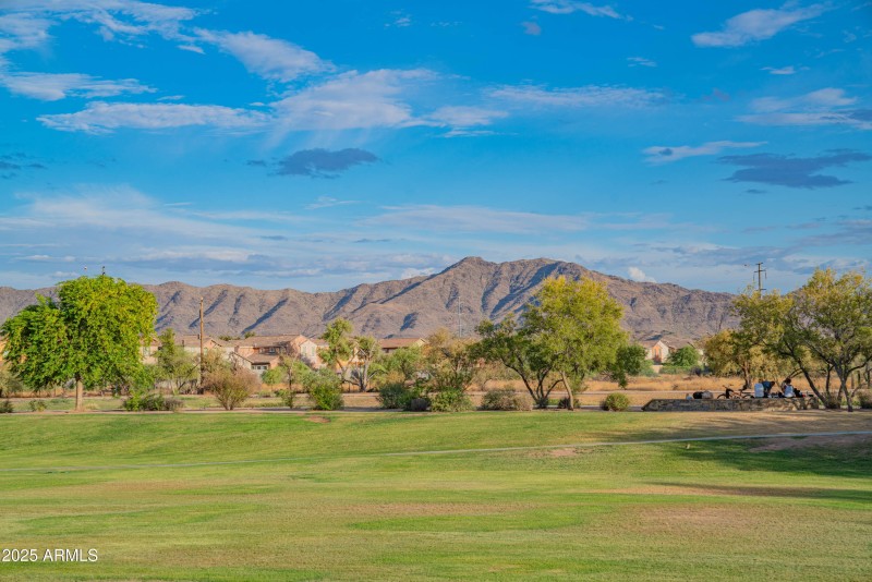 craigrootimaging_shum-94