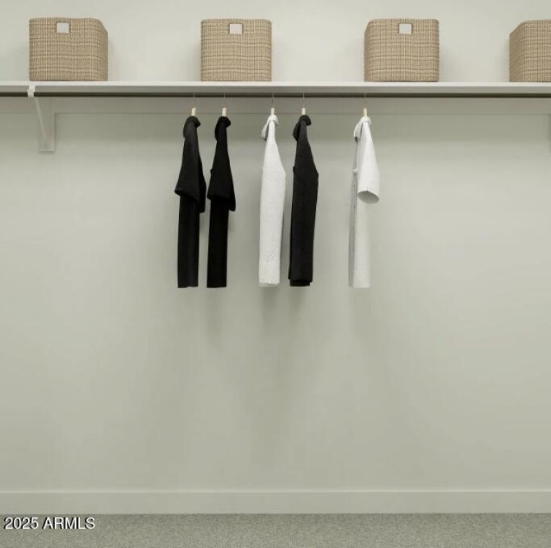 Owners Walk in Closet