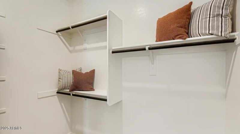 Owners Walk in Closet