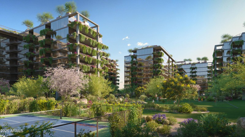 OMM Courtyard Pickleball