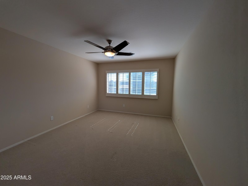 PXL_20251015_175254230