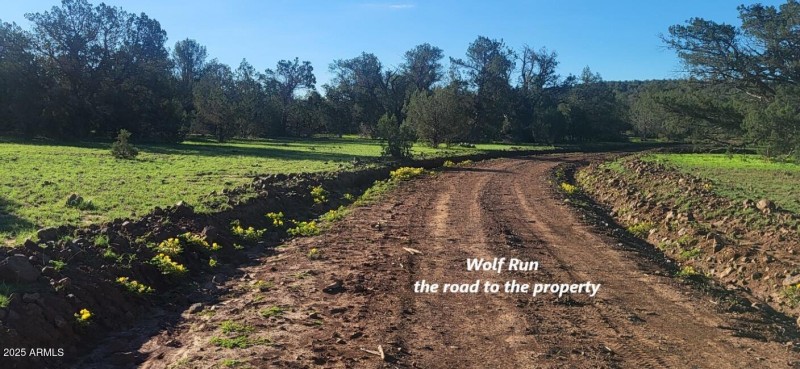 thumbnail_20250909_074444