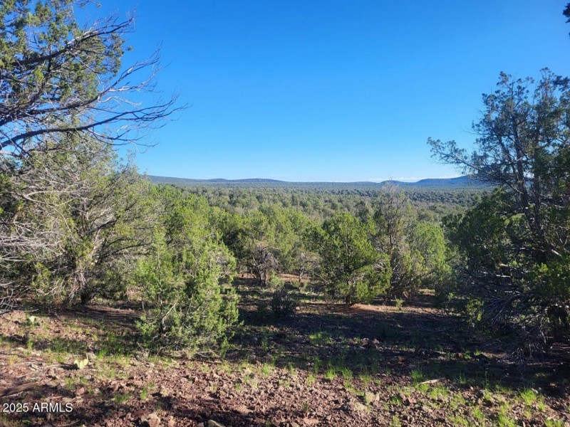 thumbnail_20250909_075910