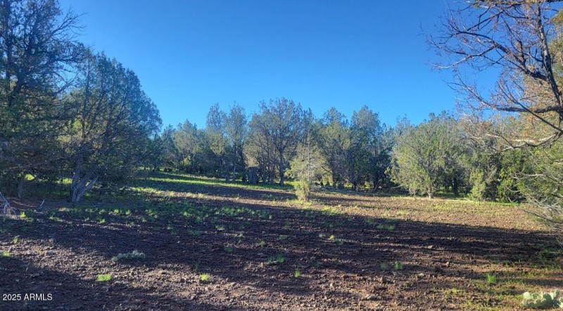 thumbnail_20250909_080328