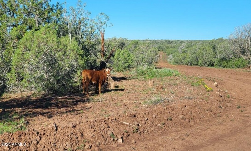 thumbnail_20250909_082948