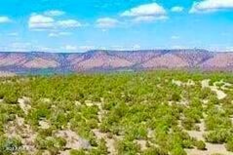 20240620071057656080000000-o (1)