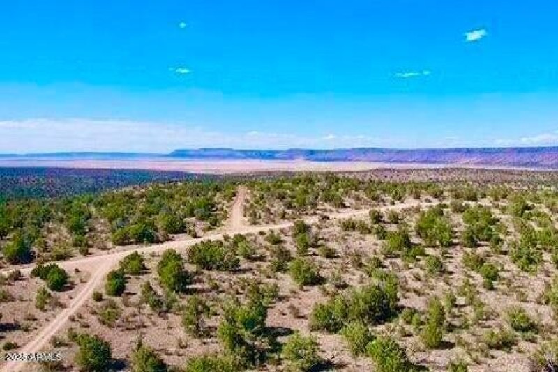 20240620070806806876000000-o (1)