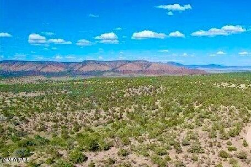 20240620070930121454000000-o (1)