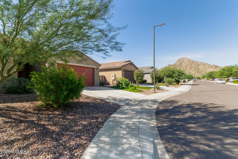 Low Maintenance Yard