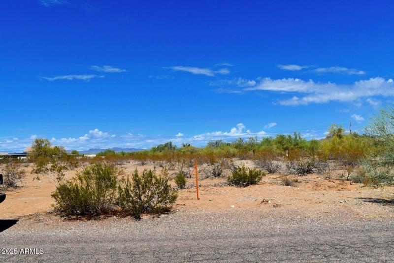 168th dale looking north from west side