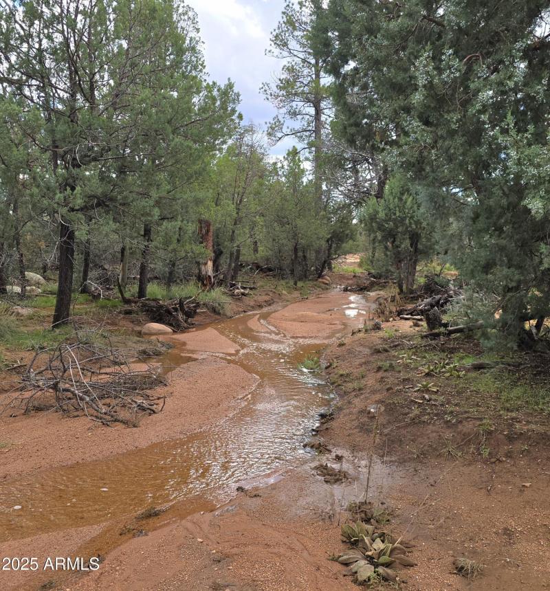 Wash Running 2025 Oct 14