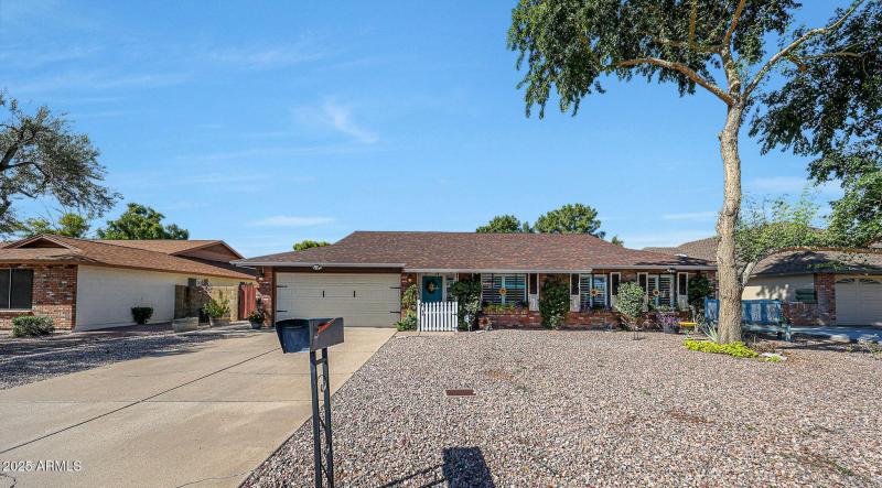 Grass (special exterior enhancement) (1)