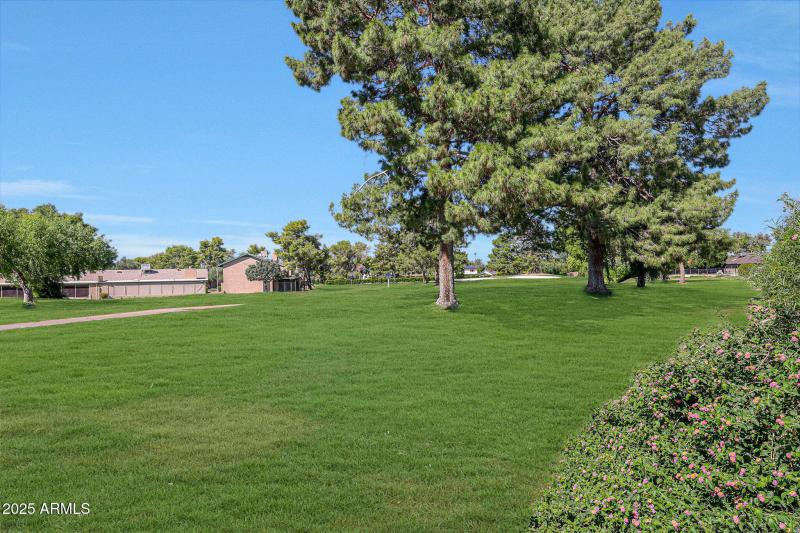 Grass (special exterior enhancement) (18