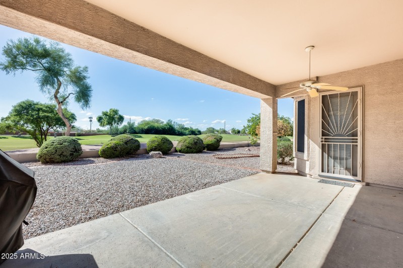 Back Patio / Back Yard