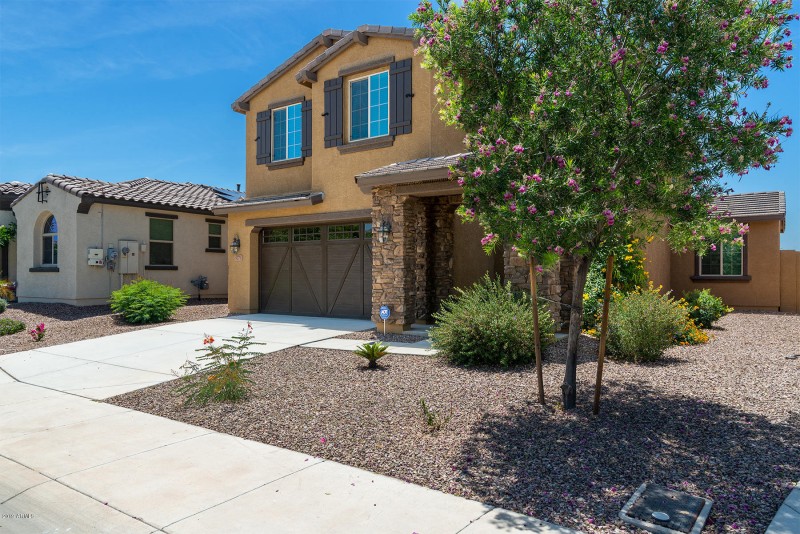 Low maintenance landscape