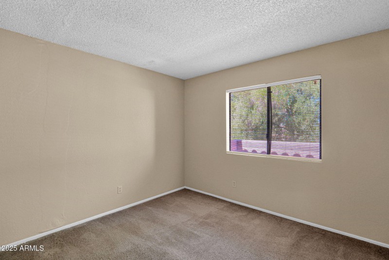 12-web-or-mls-P1315105