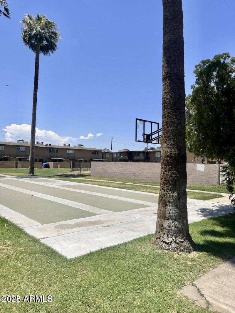 Park Basketball Court