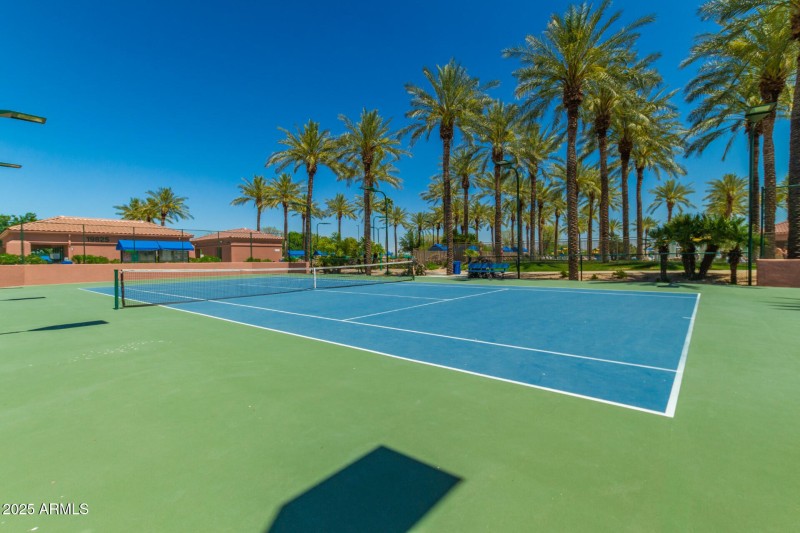 Pickle ball