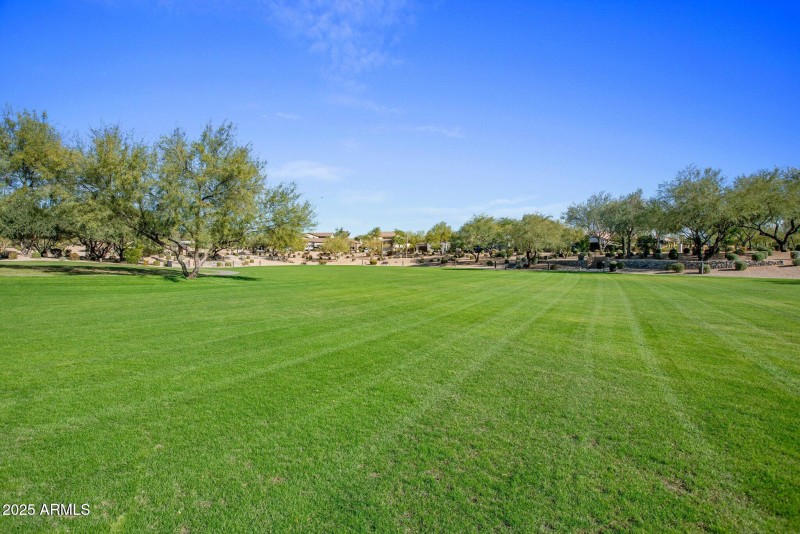 20250610024127695459000000-o