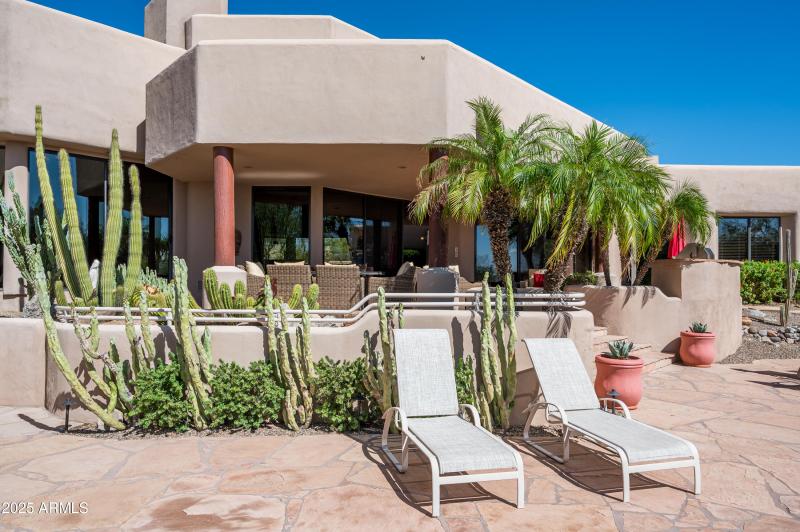 Lovely Specimen Plantings