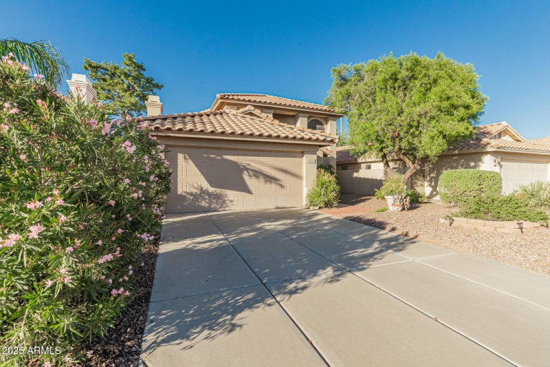 04 - Chuckwalla 4334