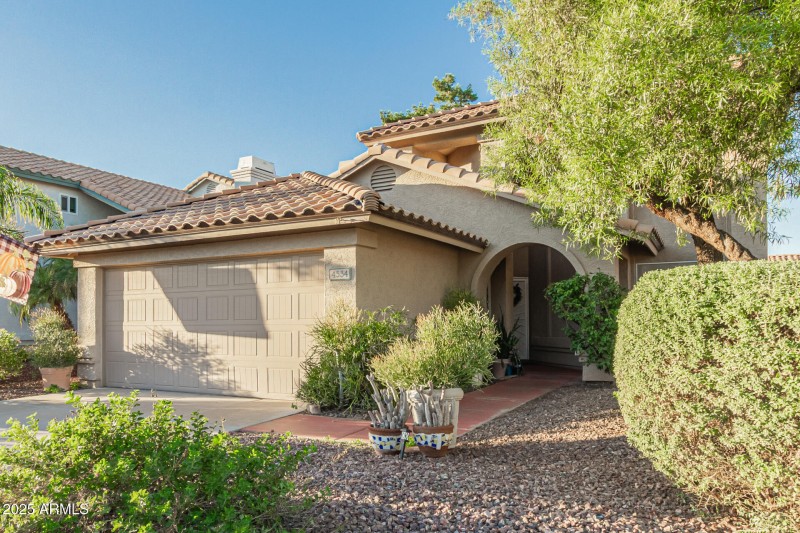 05 - Chuckwalla 4334