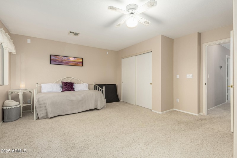 20 - Chuckwalla 4334