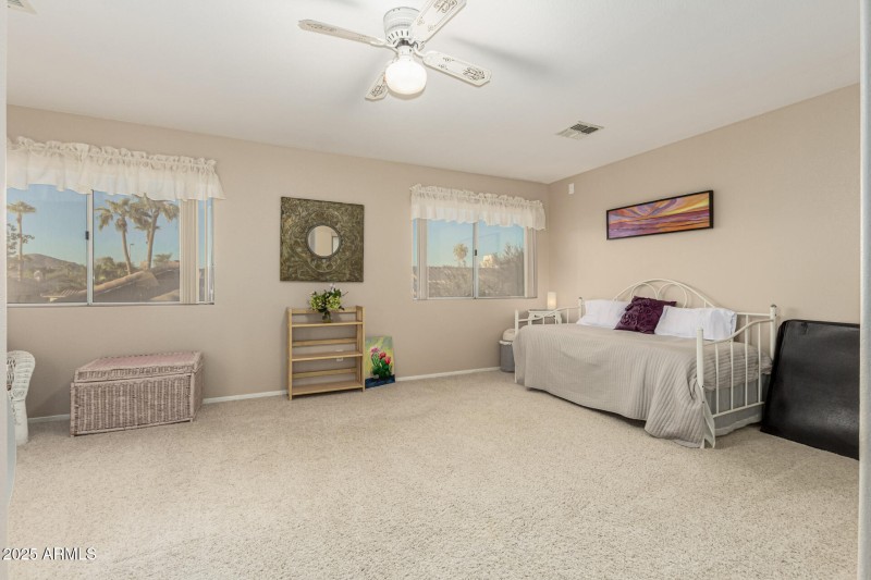 21 - Chuckwalla 4334