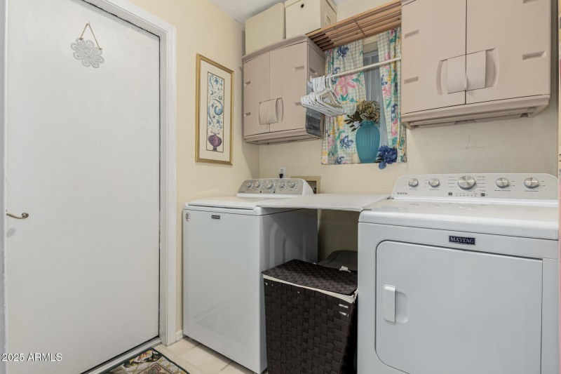 33 - Chuckwalla 4334