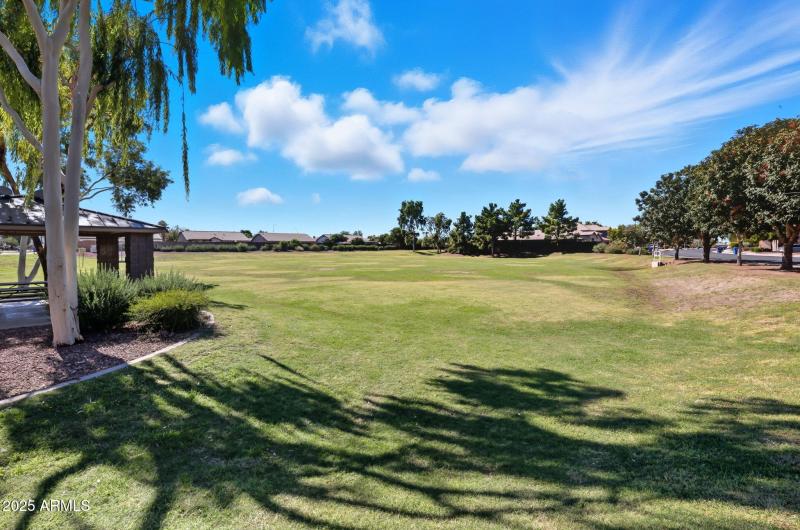 36-web-or-mls-IMG_0162