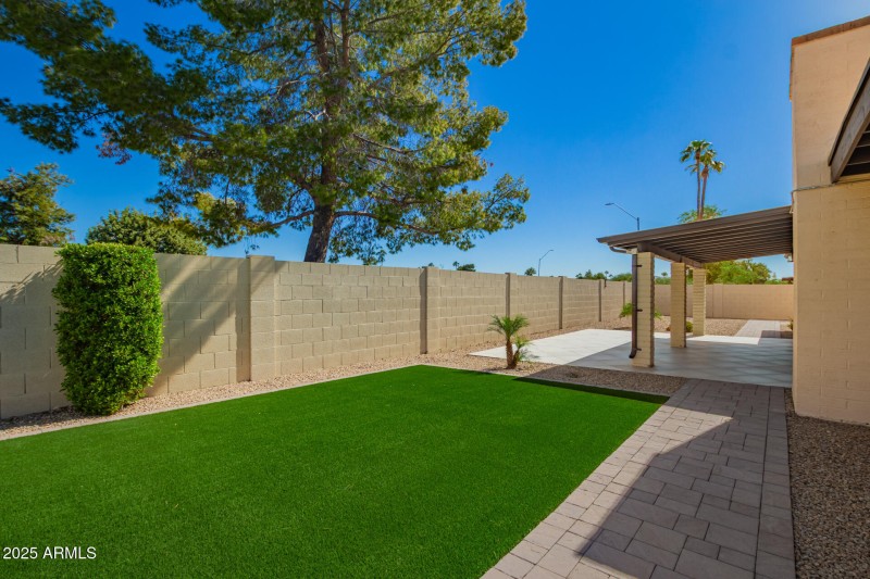 2022 Backyard Remodel