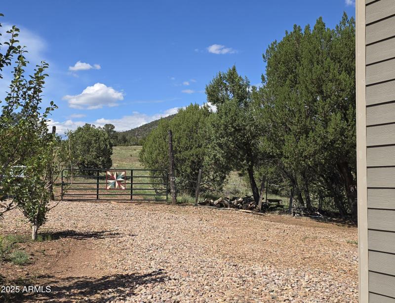 Gate to Natl Forest Aug28