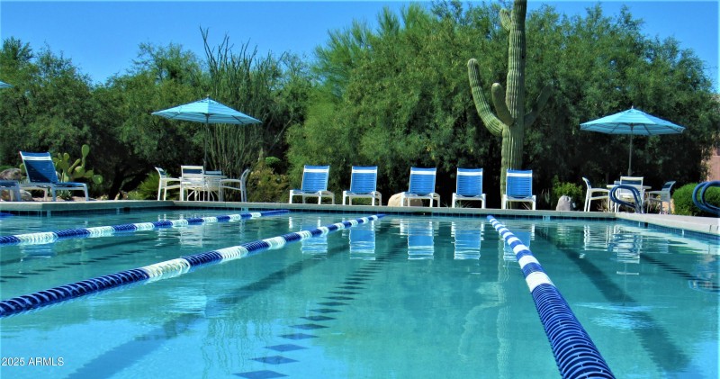 8.12.19 Pool.2 (003)