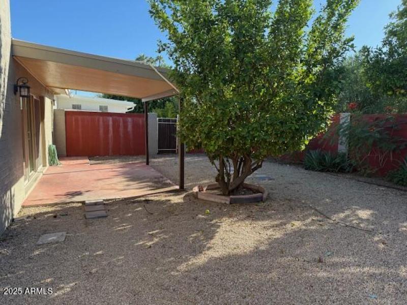 Villa Monterey - Backyard 1