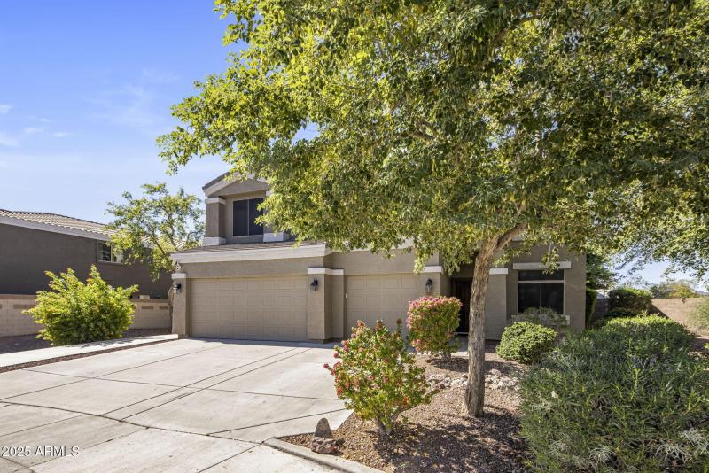 40-web-or-mls-D46A5573