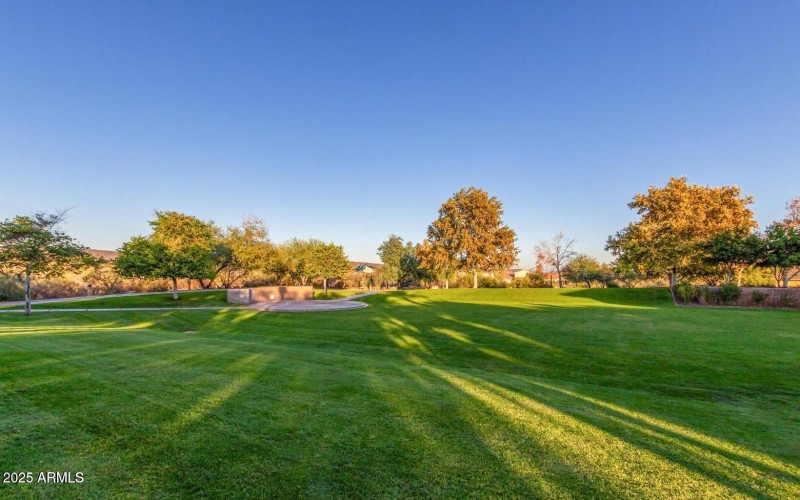 Z250221225459701746000000-o