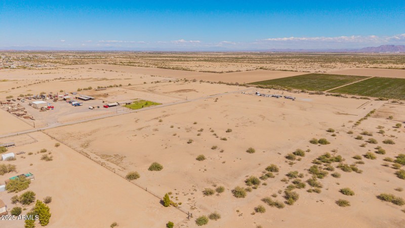 02 - 0 Pepper Tree Drone