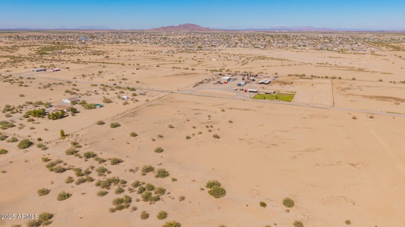 04 - 0 Pepper Tree Drone