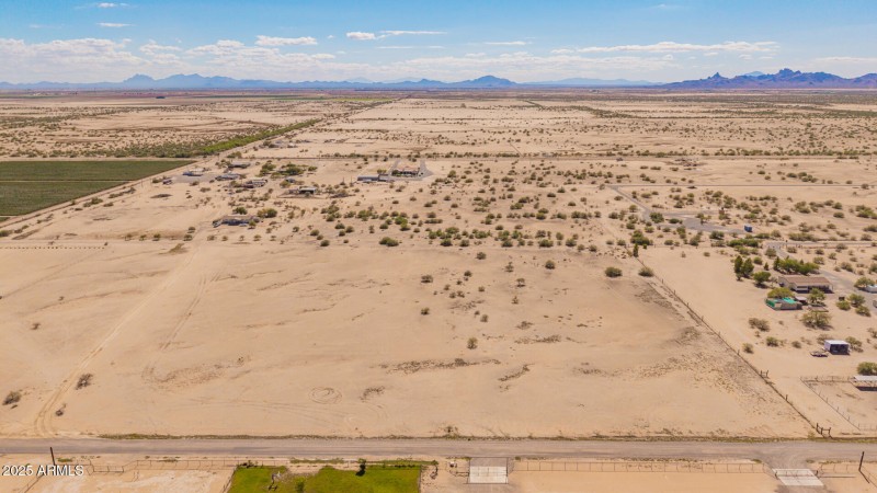 07 - 0 Pepper Tree Drone