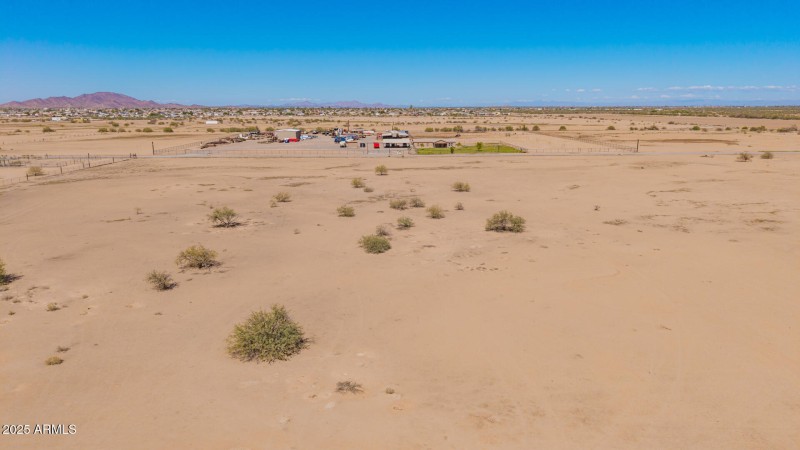 08 - 0 Pepper Tree Drone