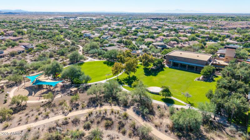 17 - Copper Leaf Drone