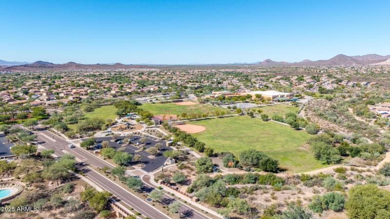 21 - Copper Leaf Drone