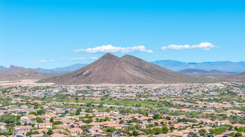 23 - Copper Leaf Drone