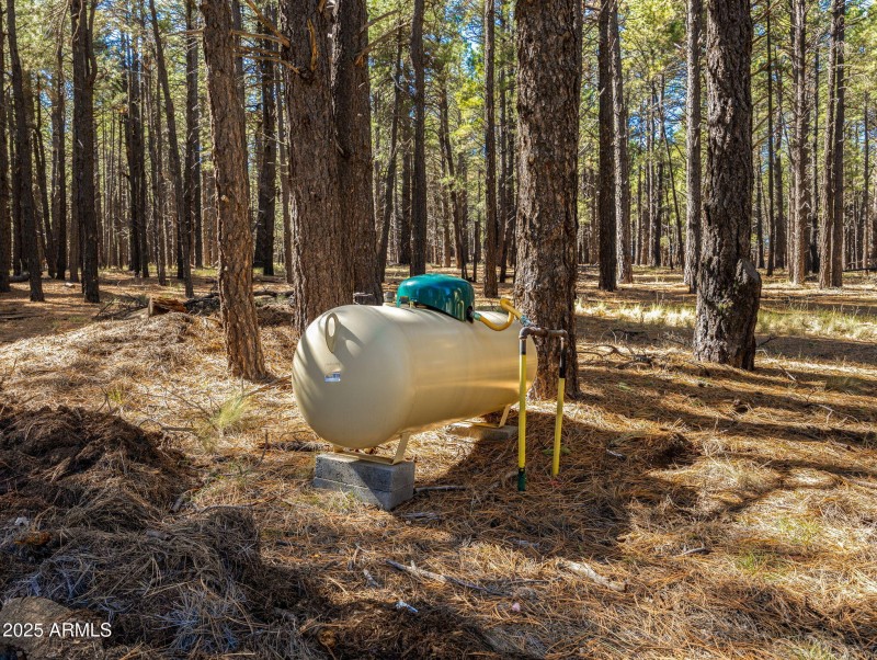 63-web-or-mls-3328 Crimson Rd-153